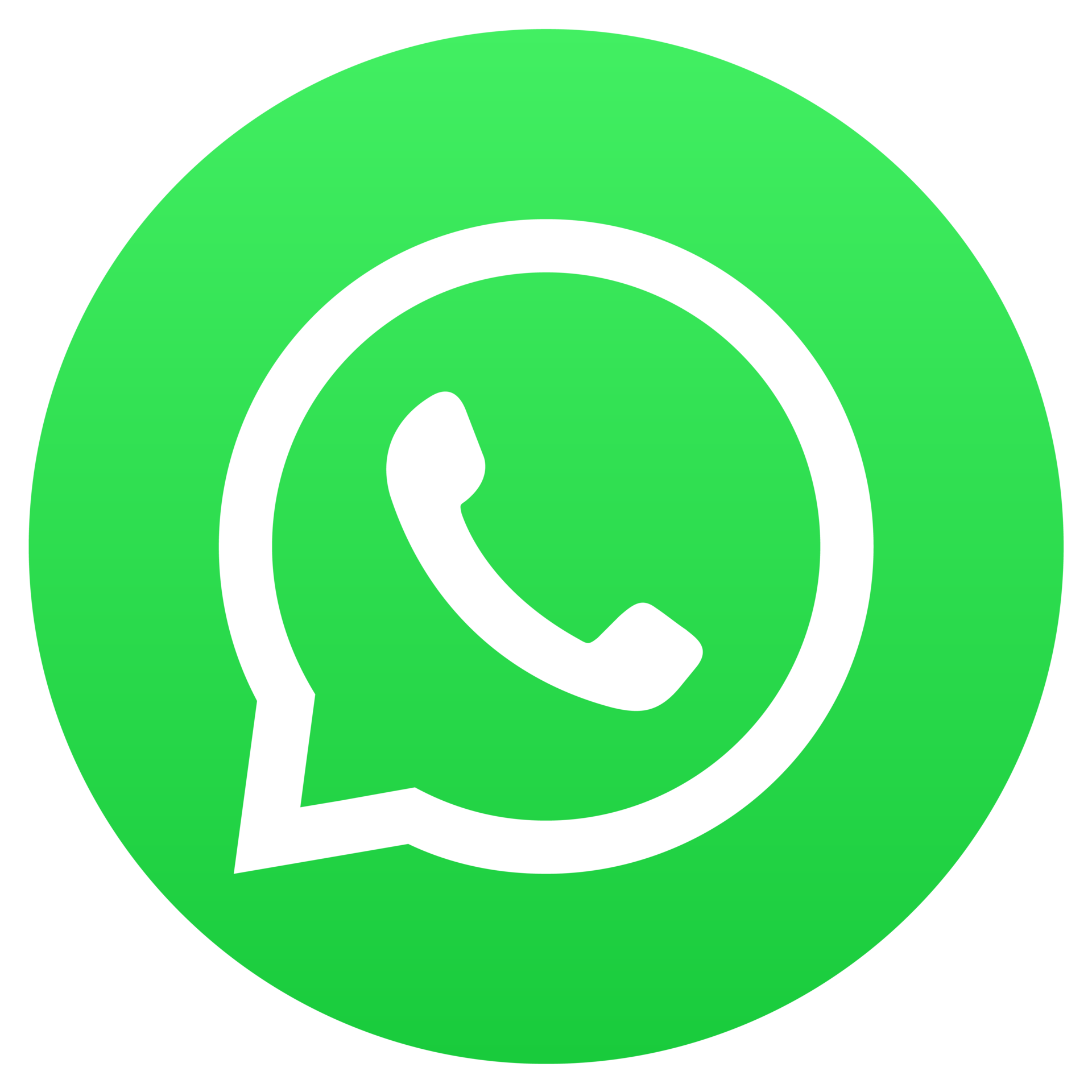WhatsApp Chat Icon